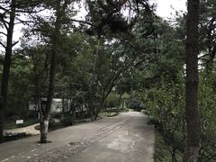 -九华山公园