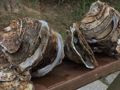 -崇明东平国家森林公园烧烤房车露营地