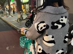 -北京国子监胡同