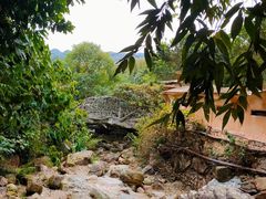 -天门沟九州驿站树上汤泉