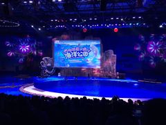 -华夏文旅海洋公园