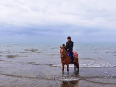 -青海湖国家重点风景名胜区