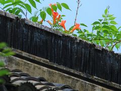 -木渎古镇