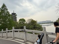 -洋湖国家湿地公园