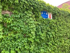 -雅逸居海鲜小厨