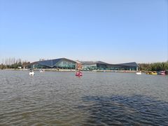 -上海长兴岛郊野公园