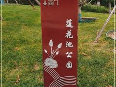 -莲花池公园