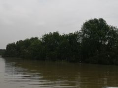 -大湾区中央湿地公园