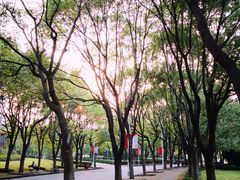 -华东政法大学(松江校区)