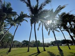 -三亚亚龙湾金棕榈度假酒店