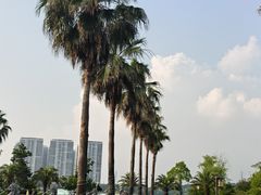 -天屿湖