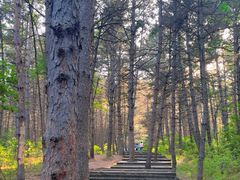 -帽儿山国家森林公园