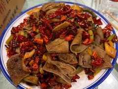 -福苗小骆驼烧烤(莲湖路店)