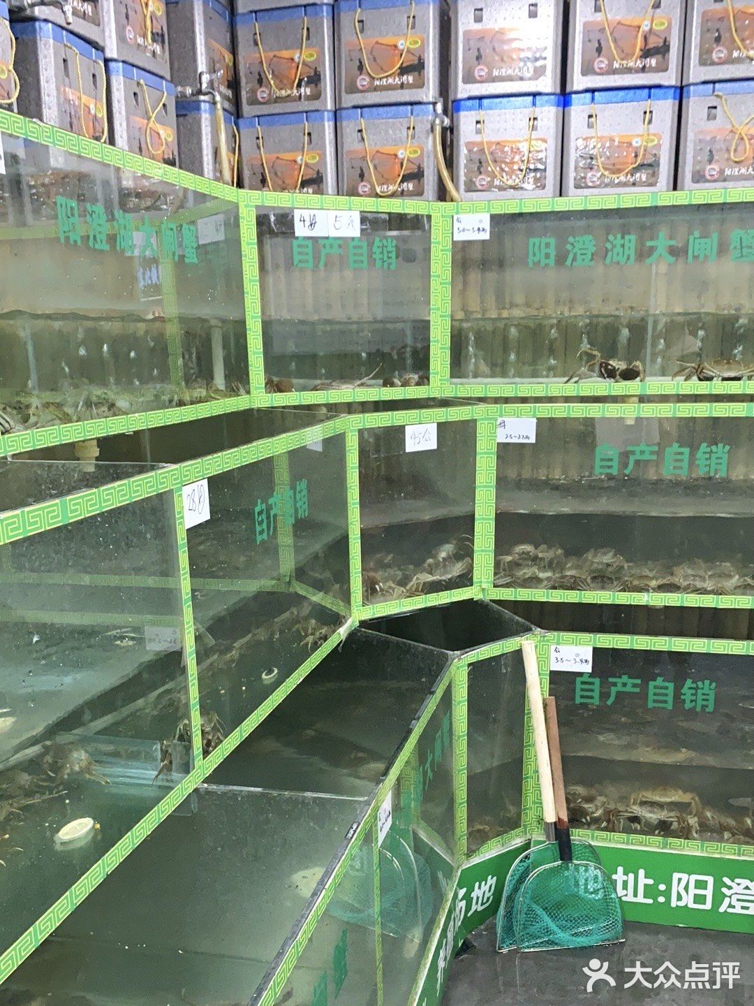 苏州｜排了3小时队才买到正宗阳澄湖大闸蟹‼️
