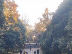 -灵谷景区