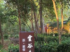 -灵谷景区