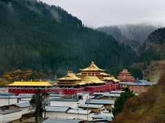 -达仓郎木寺院