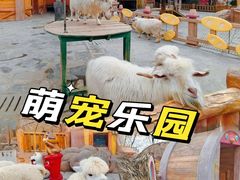 -郑州银基国际旅游度假区