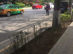 -必胜客(花舞大唐博物馆店)
