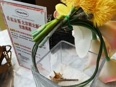 -哈根达斯(朝阳大悦城店)