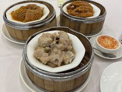 豉汁蒜香蒸排骨-凤凰楼酒家·粤宴点心(华强北店)