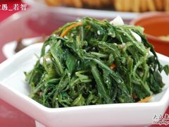 杏仁苦菜-赛汗塔拉风情园