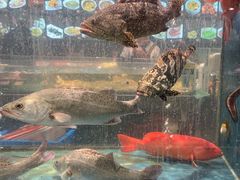 -龙宴海鲜城(经中路店)