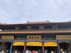 -西安大兴善寺