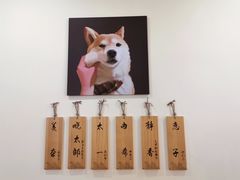 -柴犬小屋·柴餐厅·狗咖食堂(金鼎广场店)