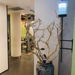 -盘子女人坊古装写真摄影(天津总店)