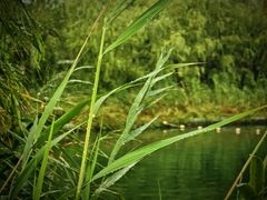 -处女泉风景名胜区