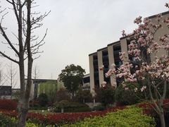 -上海崇明金茂凯悦酒店