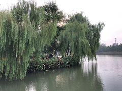 -圩墩遗址公园