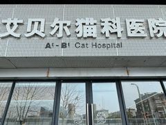 -艾贝尔宠物医院·24H转诊中心·肿瘤猫专科(江宁双龙店)