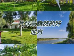 -伊犁河风景区