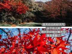 -中国茶叶博物馆(双峰馆区)
