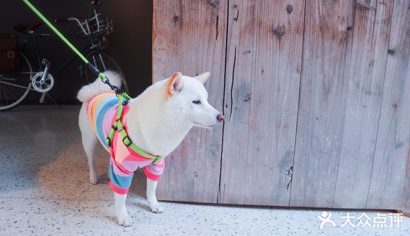 神州·饮|福建·福州【咖啡No.5】一井天,望云烟