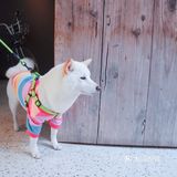 神州·饮|福建·福州【咖啡No.5】一井天,望云烟