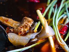 -石灰市毛记烧鸡公(解放碑店)