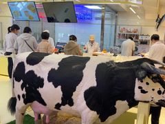 -红星前进面包牛奶公司(君太店)