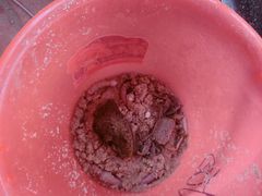 -北海金海湾红树林生态旅游区