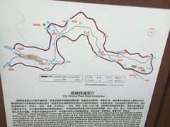 -金鸡山公园