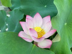 -极客修手机维修·电脑维修·家电维修清洗(五一广场店)