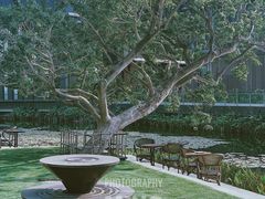 -星巴克(深圳前海企业公馆店)