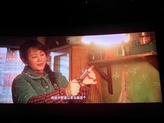 -新影联·华谊兄弟影院(望京店)