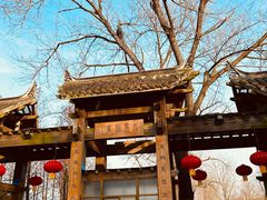 -溱湖国家湿地公园