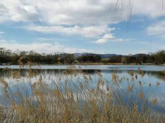 -大益膳房(华腾科技大厦店)