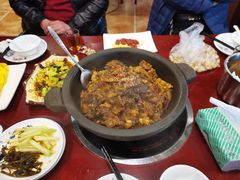 生态甲鱼-火焰金龟甲(汉阳江滩旗舰店)