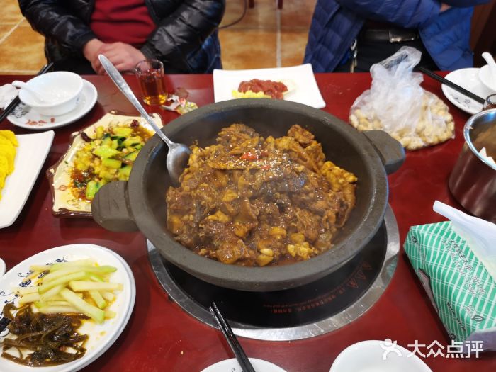 火焰金龟甲(汉阳江滩旗舰店)生态甲鱼图片