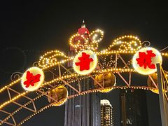-武汉知音号